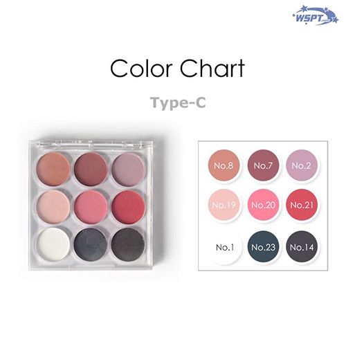 ドラマティックネイルカラーパレットType-C【ゆうパケット】