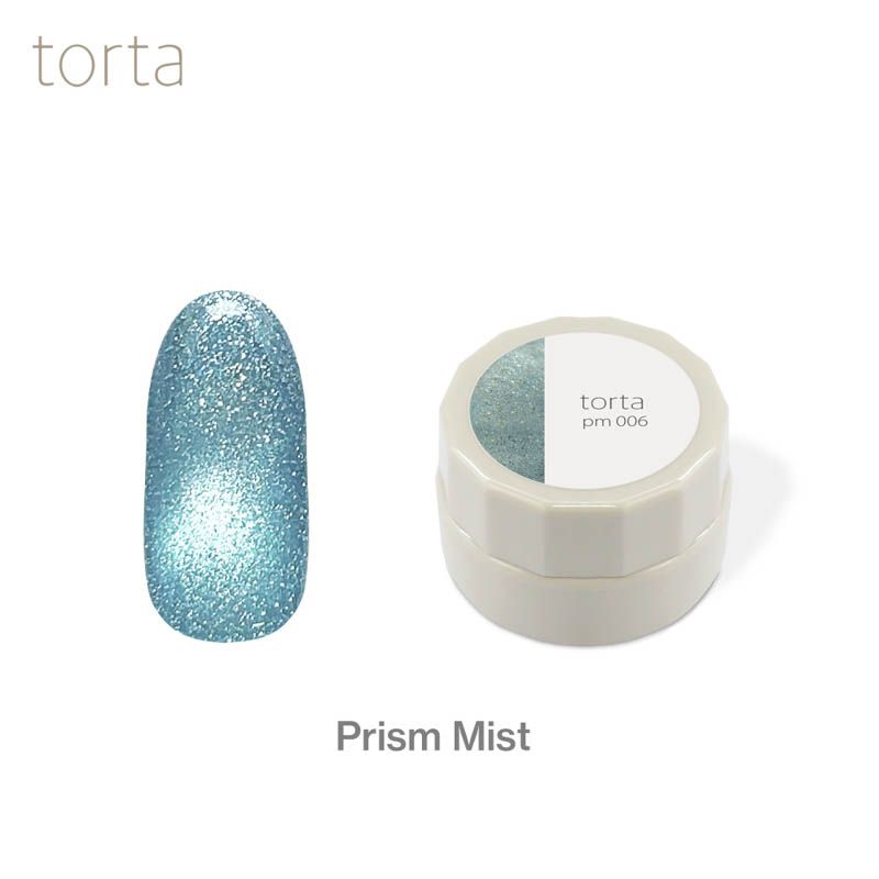 torta マグネットジェル 『プリズムミスト』 3g  pm006【ゆうパケット】