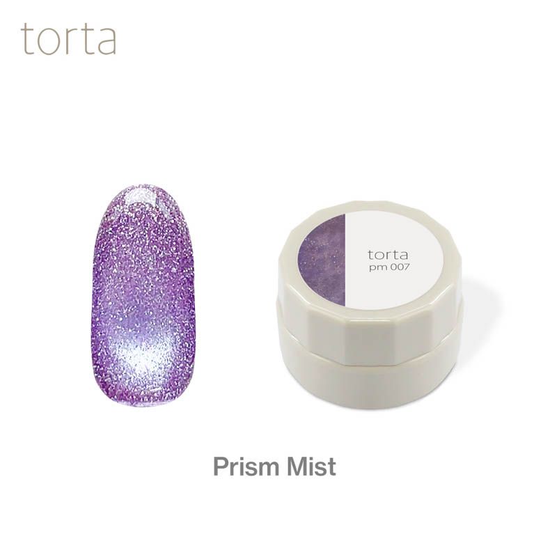 torta マグネットジェル 『プリズムミスト』 3g  pm007【ゆうパケット】