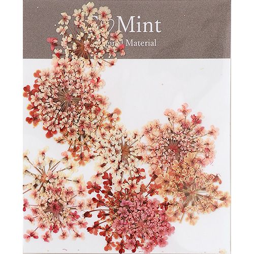 Lace Flower ColorSelect Coral【ゆうパケット】