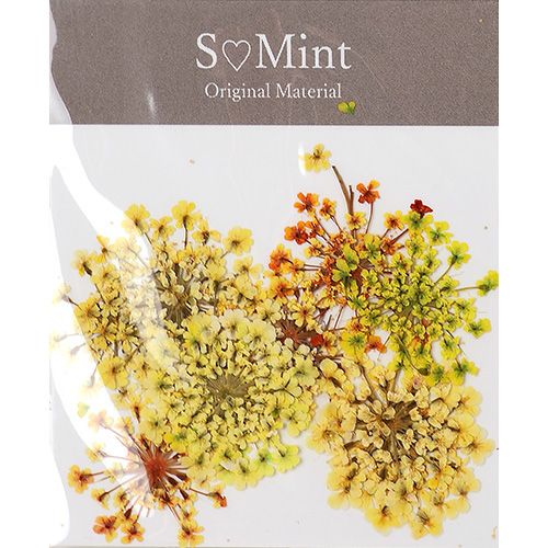 Lace Flower ColorSelect Yellow【ゆうパケット】