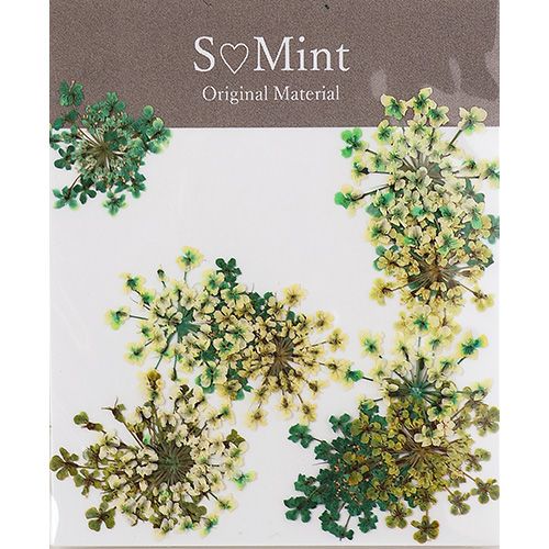 ▲Lace Flower ColorSelect Green【ゆうパケット】