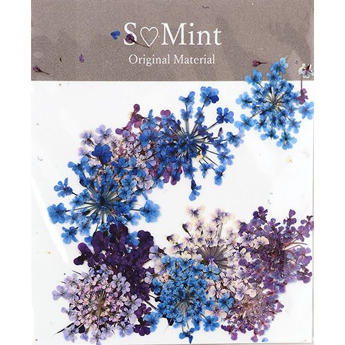 Lace Flower ColorSelect Cobalt【ゆうパケット】