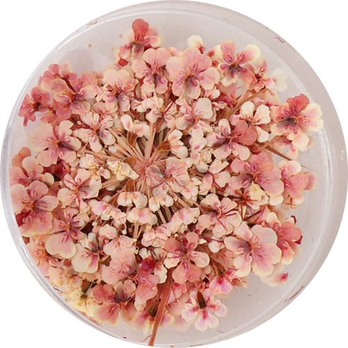 Lace Flower 15LightPeach【ゆうパケット】