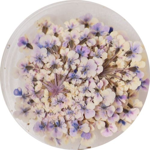 Lace Flower 24Wistaria【ゆうパケット】