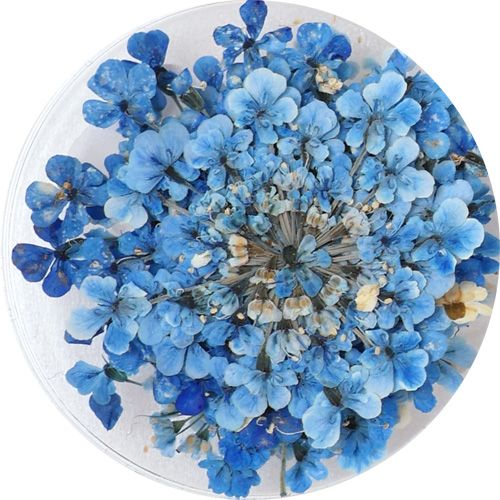 Lace Flower 38OrientalBlue【ゆうパケット】