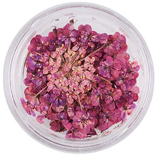 Lace Flower 46RubyPink【ゆうパケット】