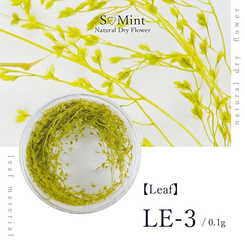 【Leaf】LE-3【ゆうパケット】