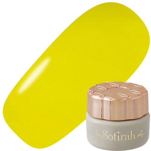 カラージェル 3g A102MS【ゆうパケット】