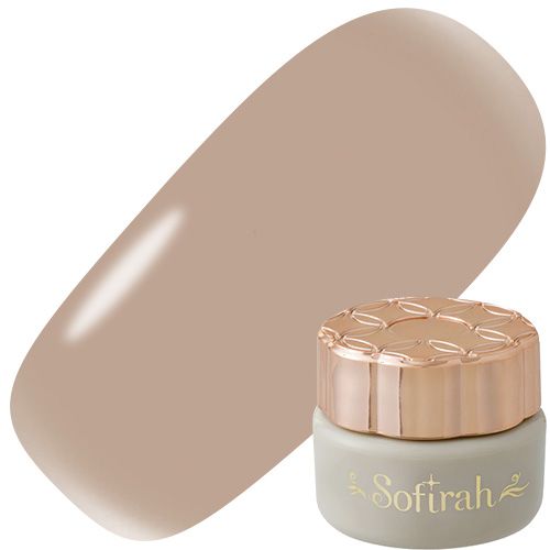 カラージェル 3g B251MS【ゆうパケット】