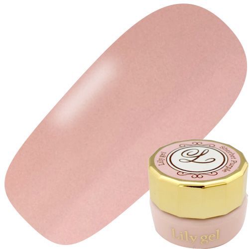 カラージェル3g #017 ヌードピンク【ゆうパケット】