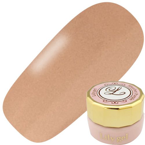 カラージェル3g #021 テディベア【ゆうパケット】