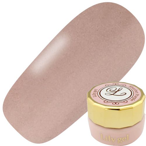 カラージェル3g #023 シェリーブラウン【ゆうパケット】