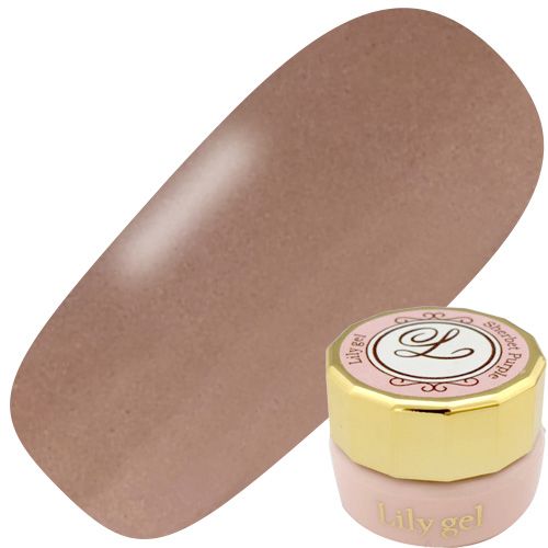 カラージェル3g #024 ガーリーブラウン【ゆうパケット】