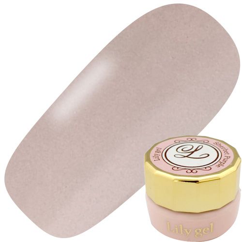 カラージェル3g #026 ドレスグレー【ゆうパケット】