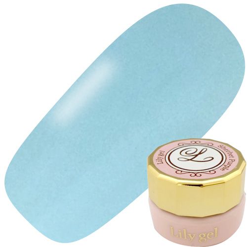 カラージェル3g #029 ホリデーブルー【ゆうパケット】