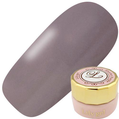 カラージェル3g #040 マーブルグレー【ゆうパケット】