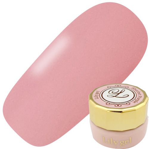 カラージェル3g #054 ピンクハウス【ゆうパケット】