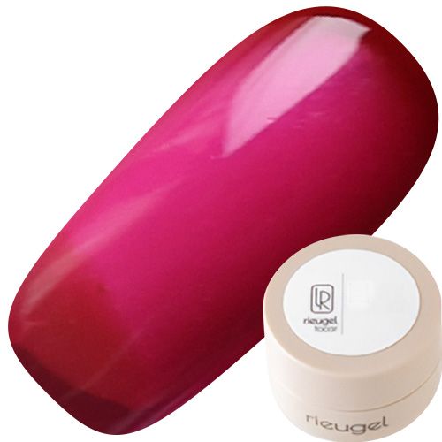 カラージェル2.5g 480【お取り寄せ】【ゆうパケット】