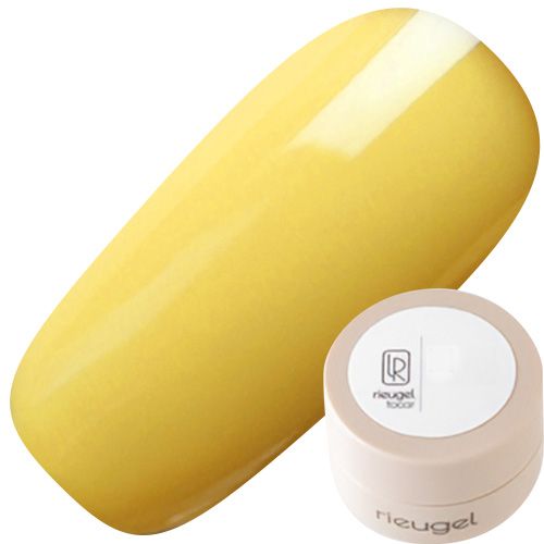 カラージェル2.5g A2【ゆうパケット】