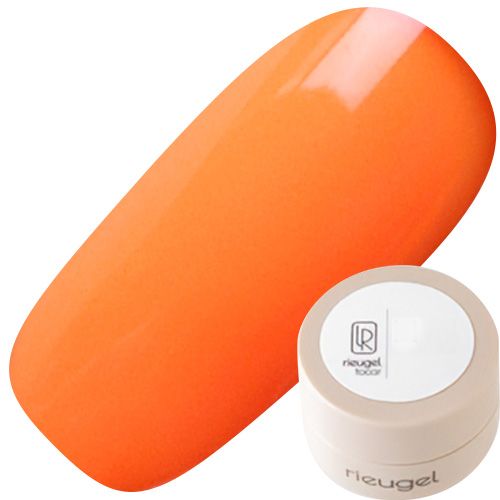 カラージェル2.5g A13【ゆうパケット】