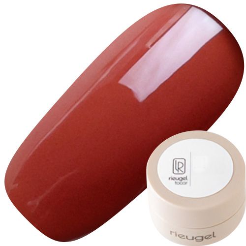 カラージェル2.5g A20【ゆうパケット】