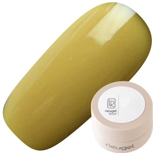 カラージェル2.5g A22【ゆうパケット】