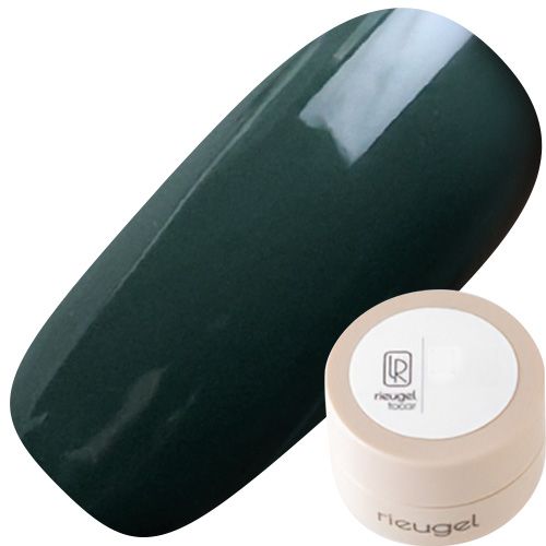 カラージェル2.5g A23【ゆうパケット】