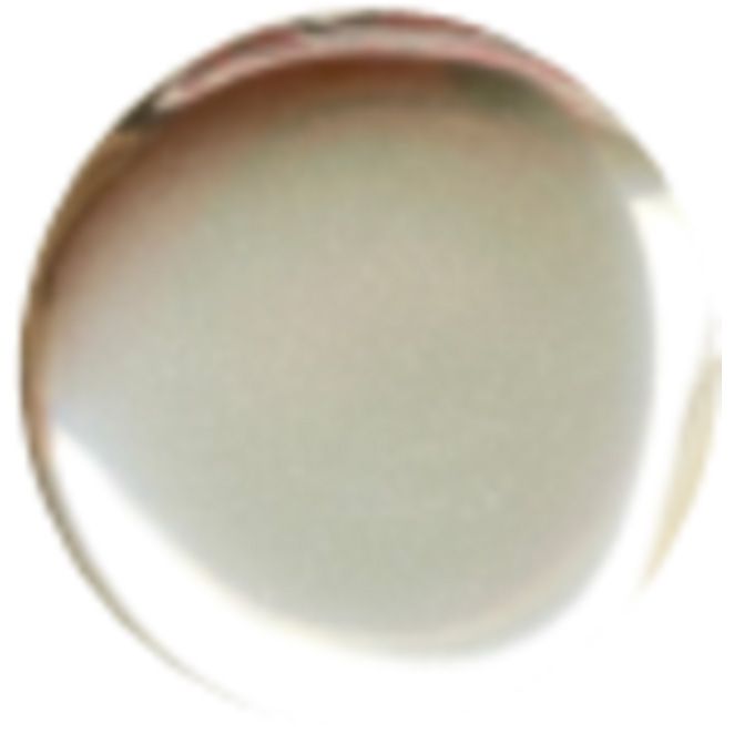 メタリックライトゴールド2.5g【ゆうパケット】