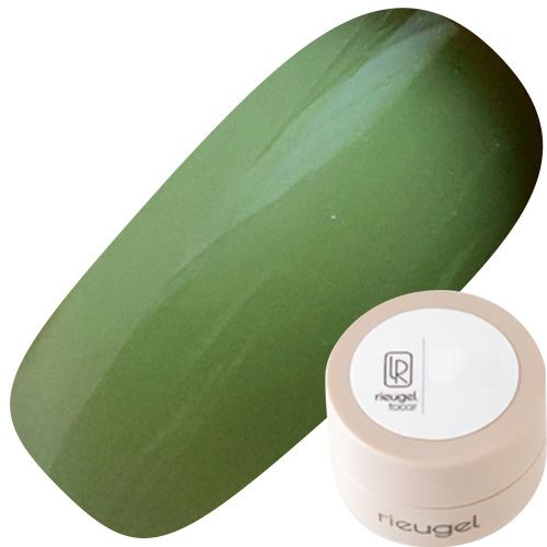 カラージェル2.5g N゜12S【ゆうパケット】