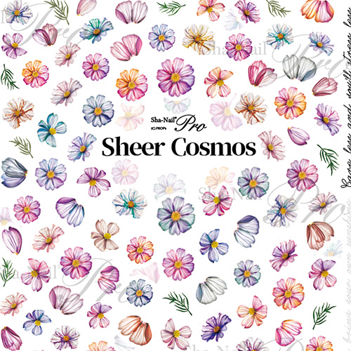 ♪【岡本瑠美】Sheer Cosmos/シアーコスモス【お取り寄せ】【ネコポス】