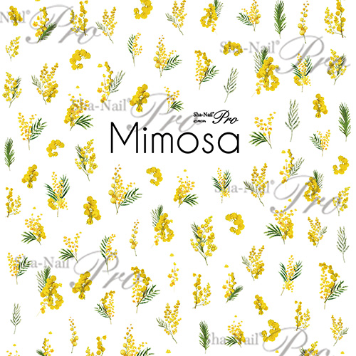 【plus/French】Mimosa/ミモザ【ネコポス】