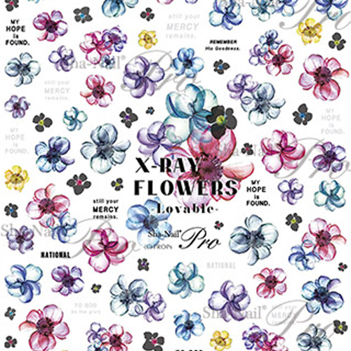 ♪X-Ray Flowers-Lovable-/エックスレイフラワーズ -ラヴァブル-【お取り寄せ】【ネコポス】
