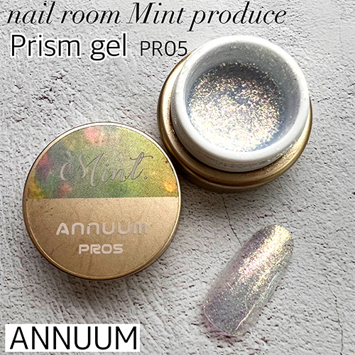 ■[STOCK]■【nail room Mint produce】プリズムジェル3g PR05【ネコポス】