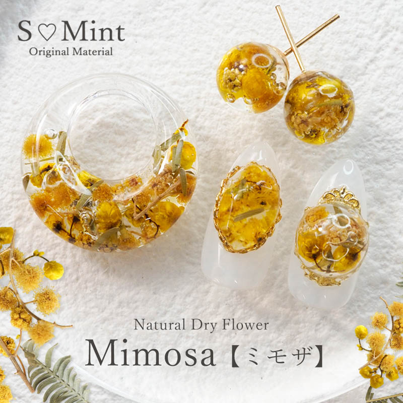 Natural Dry Flower Mimosa 