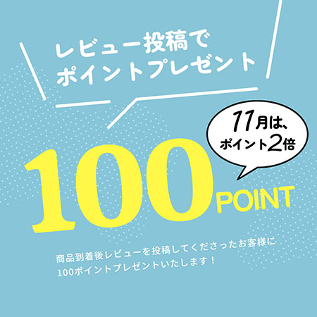 レビュー投稿100