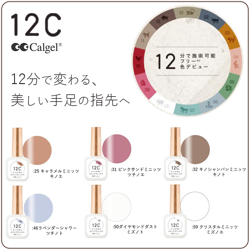 12Cノンワイプ3in1"