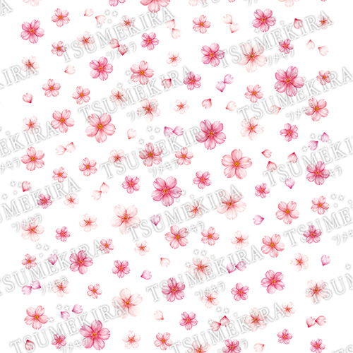 ♪■【plus】Sakura Blossom Amethyst/サクラブロッサムアメジスト【お取り寄せ】【ネコポス】