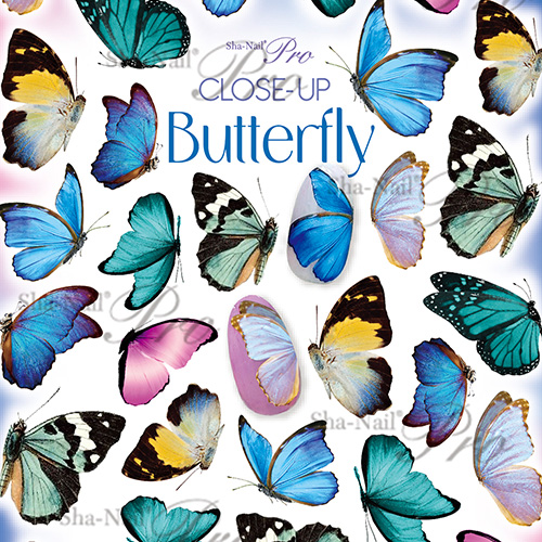 ♪CLOSE-UP Butterfly/クローズアップバタフライ【お取り寄せ】【ネコポス】