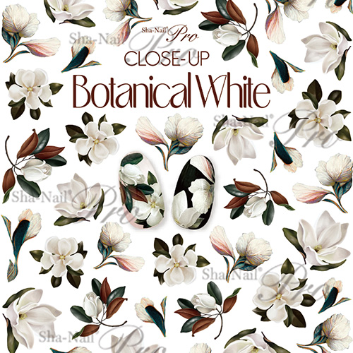 ♪CLOSE-UP Botanical White/クローズアップボタニカル ホワイト【ネコポス】