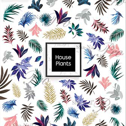 ■[OUTLET]House Plants/ハウスプランツ【ネコポス】[OUTLETアートまとめ買い対象]