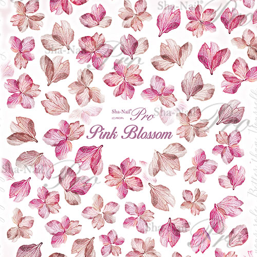 pink blossom/ピンクブロッサム【ネコポス】