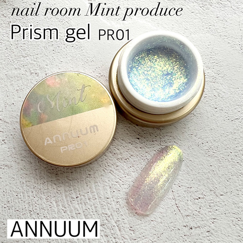 [NEW]【nail room Mint produce】プリズムジェル3g PR01【ネコポス】