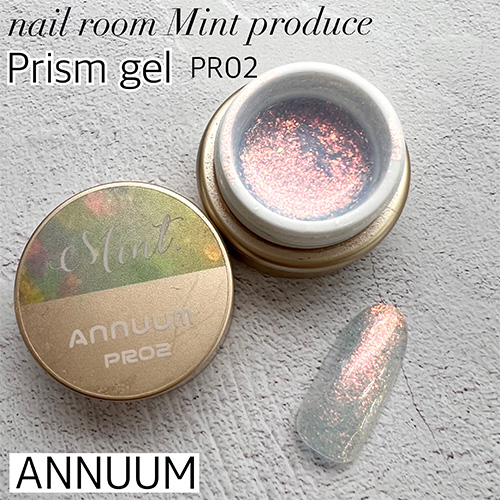 ■[STOCK]■【nail room Mint produce】プリズムジェル3g PR05【ネコポス】