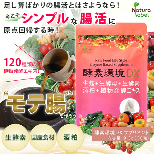 デトスループラス 400mg×60粒