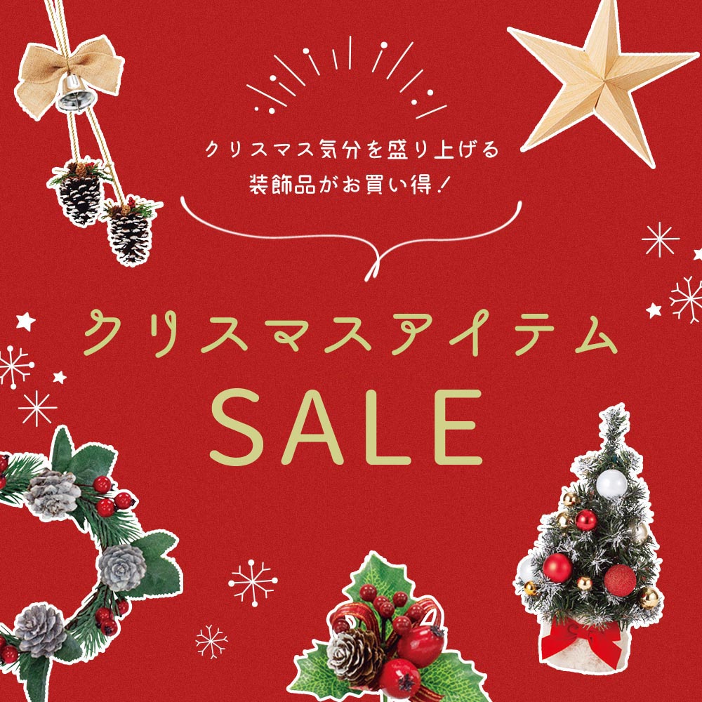 【12月】ビダヤコム クリスマスセール